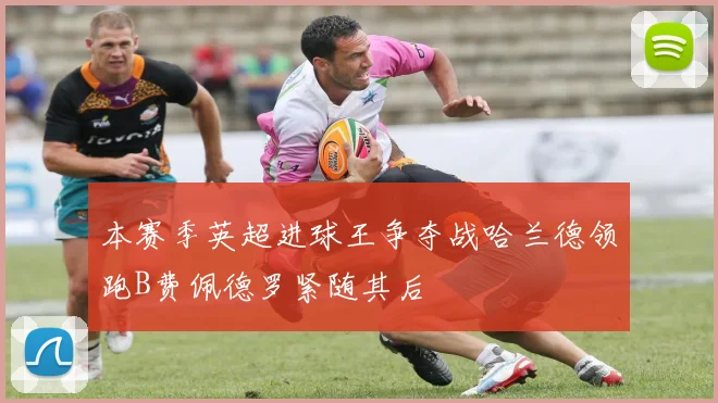 本赛季英超进球王争夺战哈兰德领跑B费佩德罗紧随其后