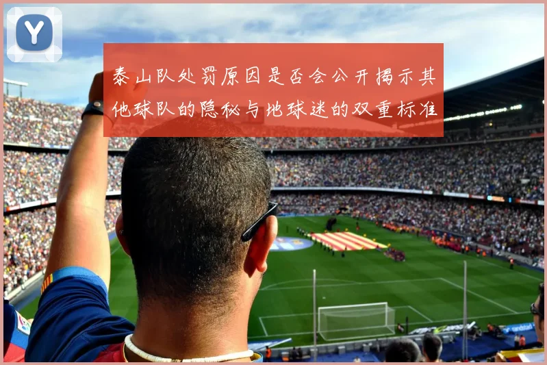 泰山队处罚原因是否会公开揭示其他球队的隐秘与地球迷的双重标准