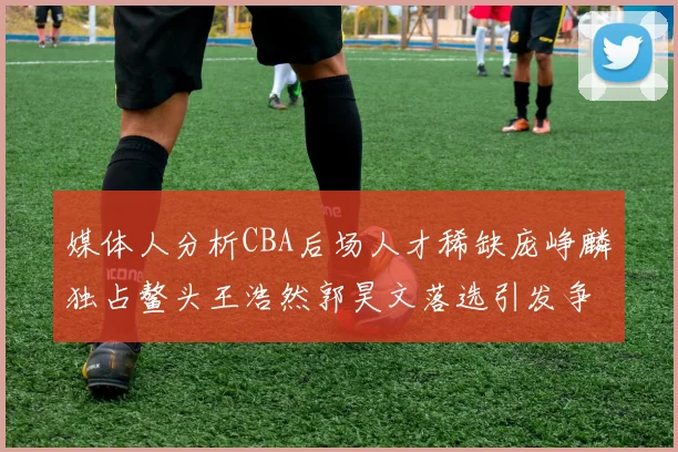 媒体人分析CBA后场人才稀缺庞峥麟独占鳌头王浩然郭昊文落选引发争议